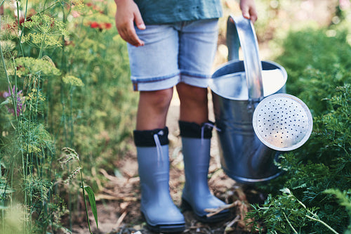 Detail of child with a watering can in vegetable garden