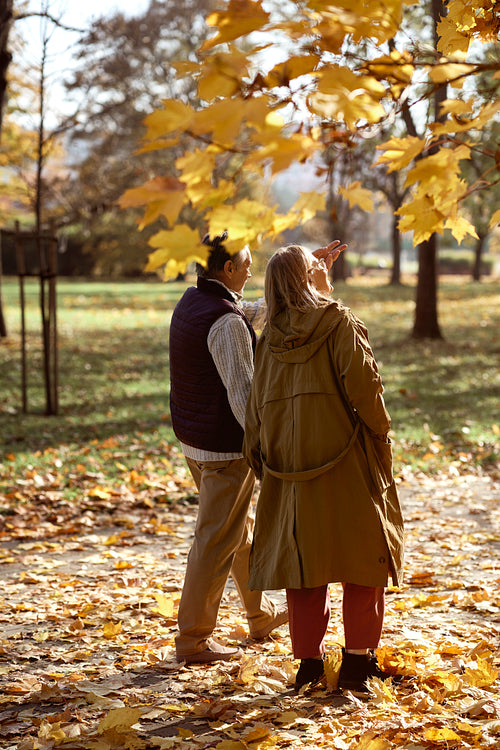 Senior caucasian couple walking in park during the autumn