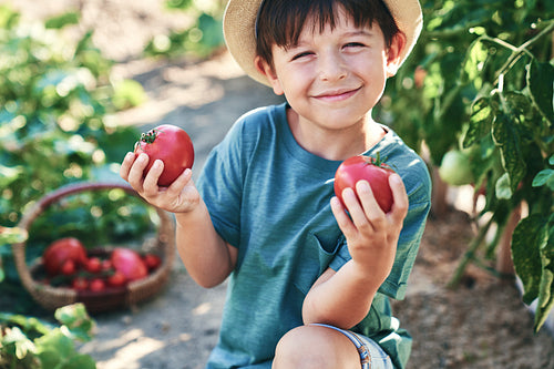 Portrait of  smiling boy holding tomatoes in his hands