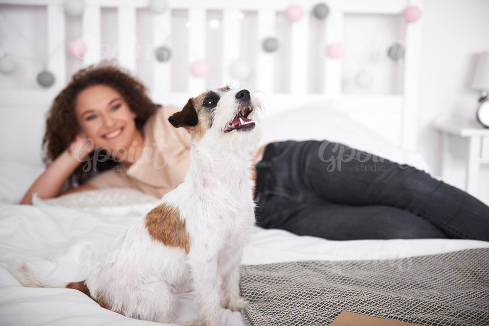 Dog on the bed and young woman in the  background