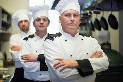 Portrait of chefs is a row