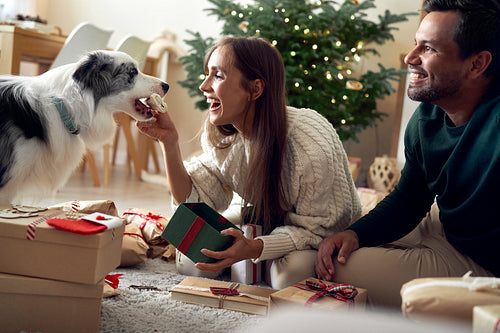 Happy multi ethnicity couple giving Christmas present for dog