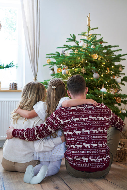 Family looking on Christmas tree