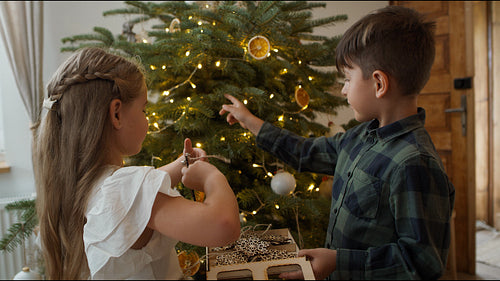 Sibling decorating Christmas tree together