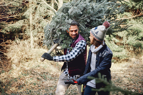 Father and son carrying fresh Christmas tree