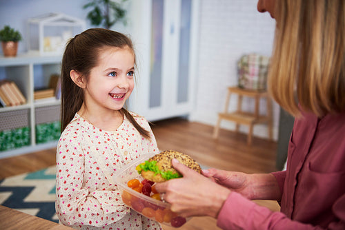 Young mum giving her daughter the healthy sandwich
