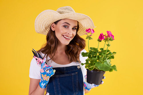 Portrait of female gardener pruning flower in flower pot