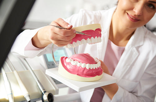 Dentist working with artificial dentures
