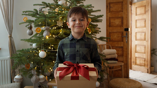 Portrait of smiling little boy with Christmas gift