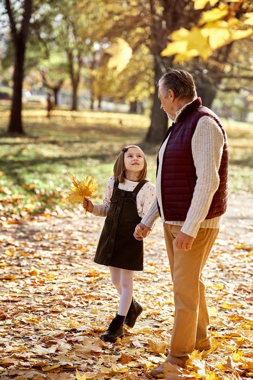 Senior man with her granddaughter walking at the park during the autumn
