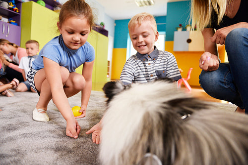 Kids playing with dog in the preschool