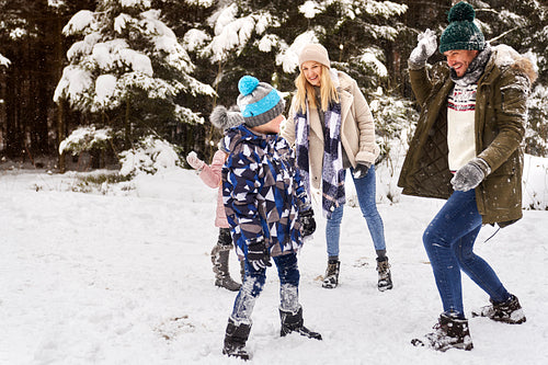 Family having a snowball fight in the snow