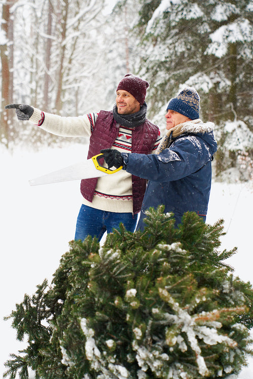 Senior man with adult son found perfect Christmas tree