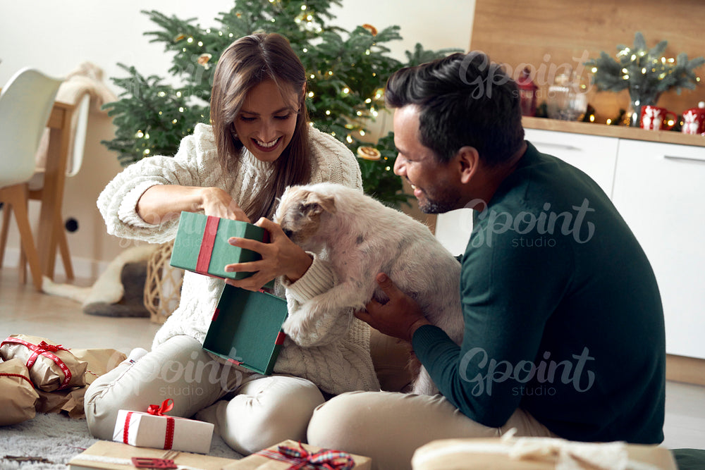 Happy multi ethnicity couple opening Christmas present for dog