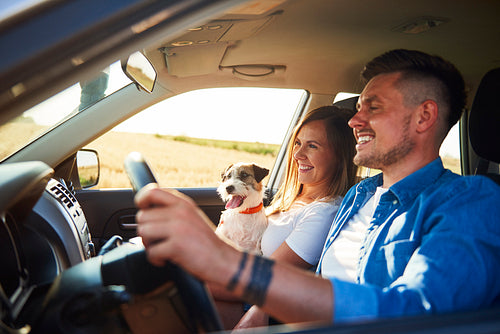 Cheerful couple and their dog traveling by car in summertime