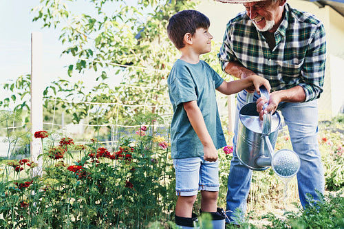 Happy grandfather with grandson watering vegetables in the garden.