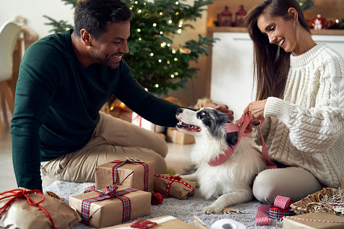 Multi ethnicity couple spending Christmas with dog at home