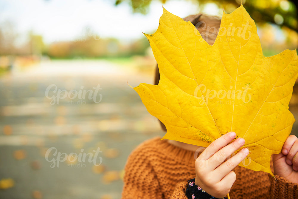 Child holding a big, autumnal leafs
