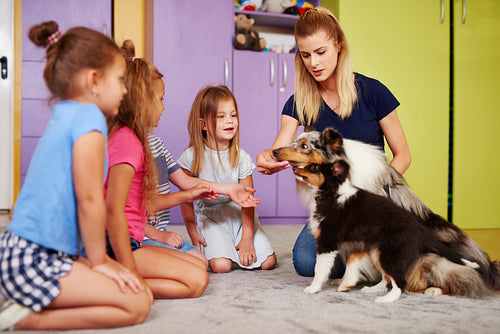 Children playing with dogs in the preschool