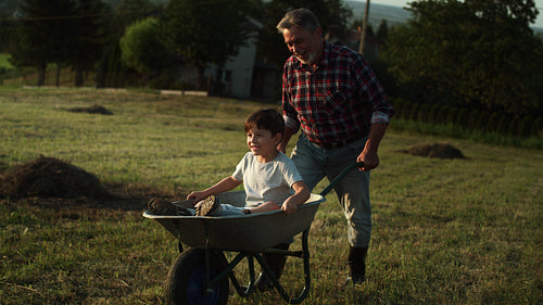 Video of grandfather driving his grandson in wheelbarrows at sunset