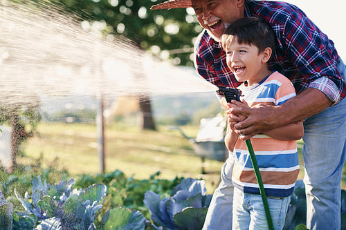 Grandfather and grandson having fun while watering vegetables