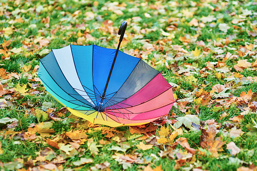 Colorful umbrella among autumnal leaves
