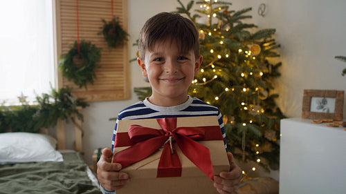 Portrait of smiling little boy with Christmas gift
