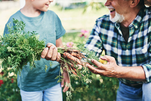 Close up of grandfather showing vegetables to grandson