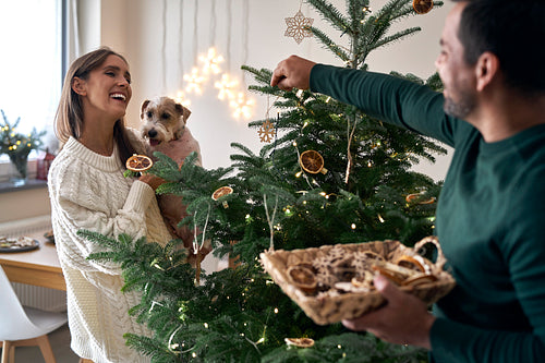 Couple with dog decorating Christmas tree at home