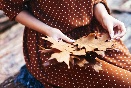 Close up of woman picking autumnal leaves in the forest