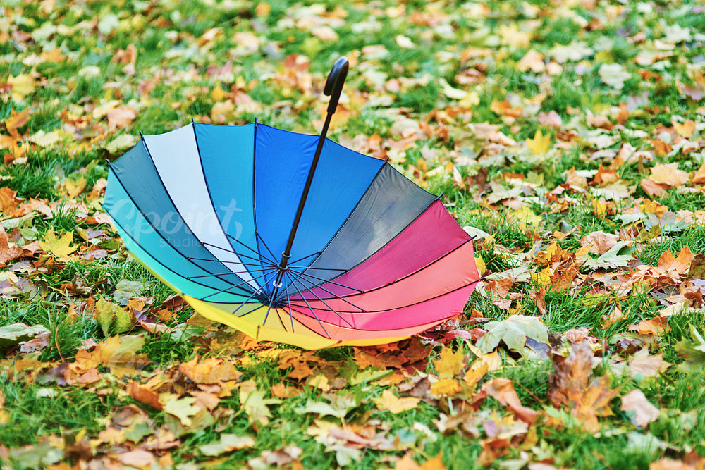 Colorful umbrella among autumnal leaves