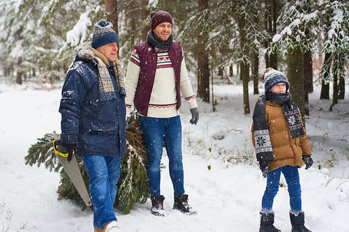 Three generation of family looking for perfect Christmas tree