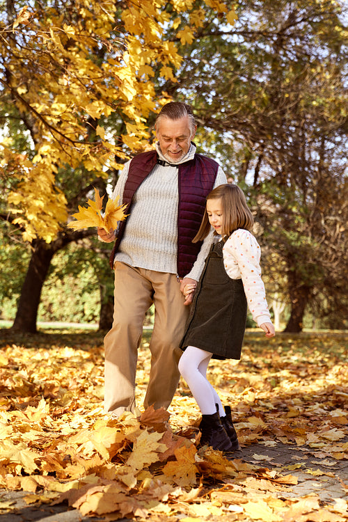 Senior man with her granddaughter playing at the park in the autumn