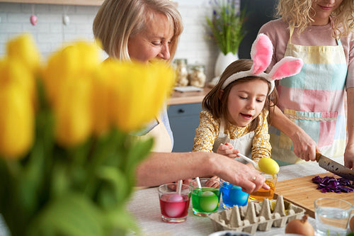 Happy family preparation natural dyes for coloring eggs