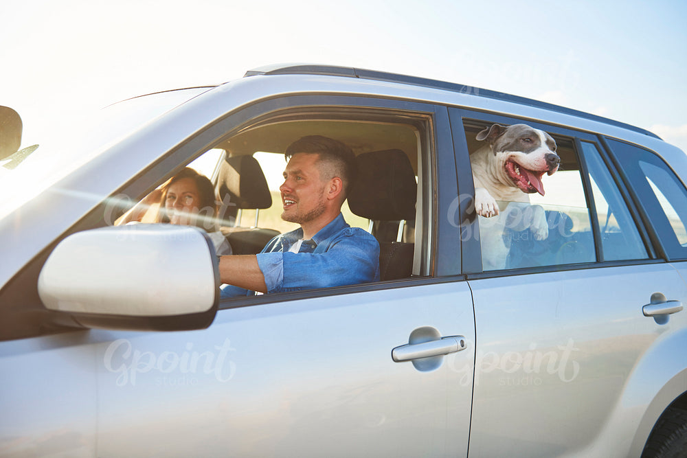 Young couple and their dog traveling by car