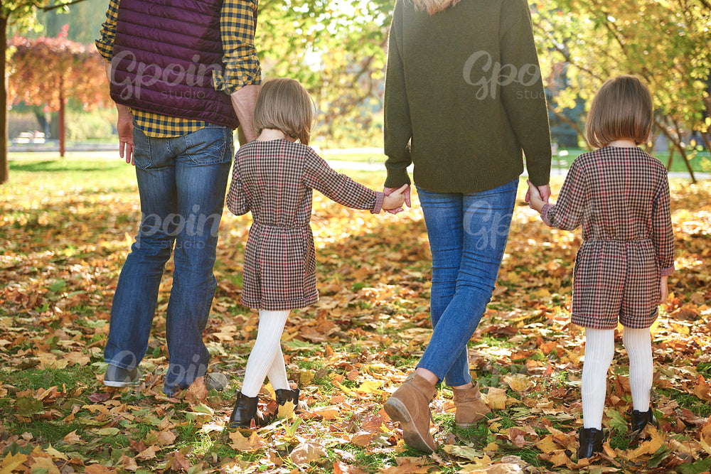 Rear view of family walking in autumn forest