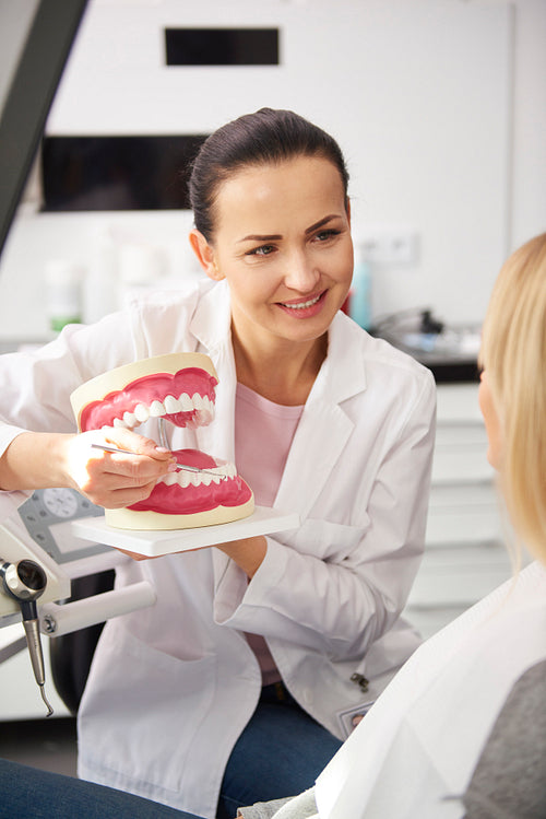 Smiling female dentist showing patient the artificial dentures