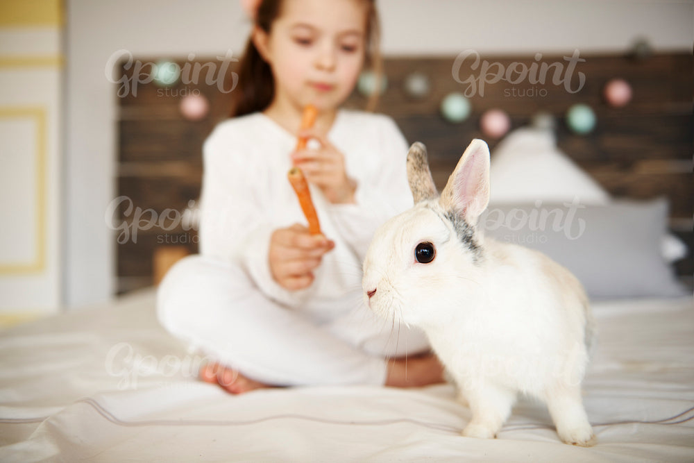 Shot of rabbit in bed and girl in the background