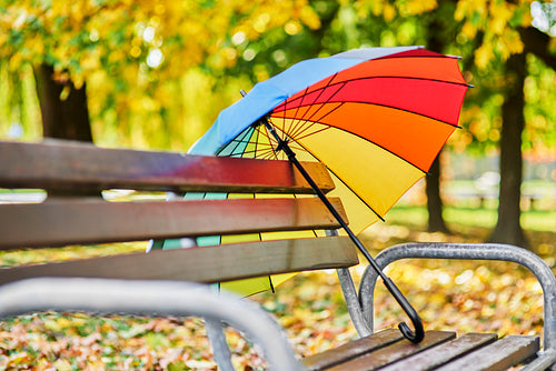 Colorful umbrella on the bench in the autumn park