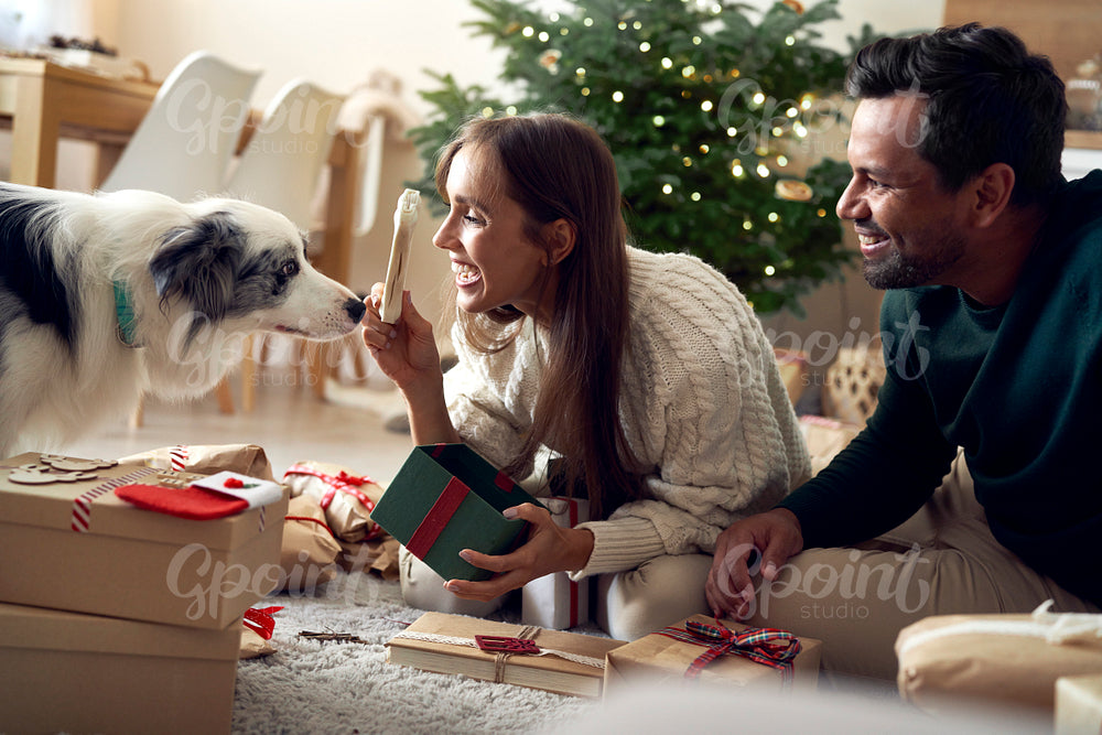 Happy multi ethnicity couple giving Christmas present for dog 