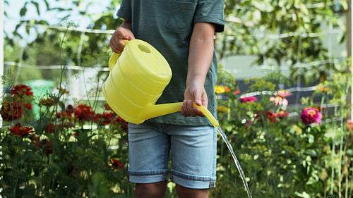 Video of boy watering vegetables from a yellow watering can