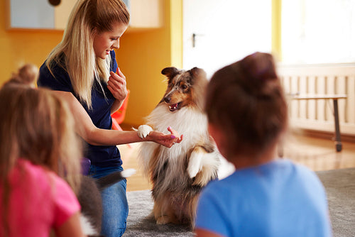 Female woman working with her dog during therapy dog