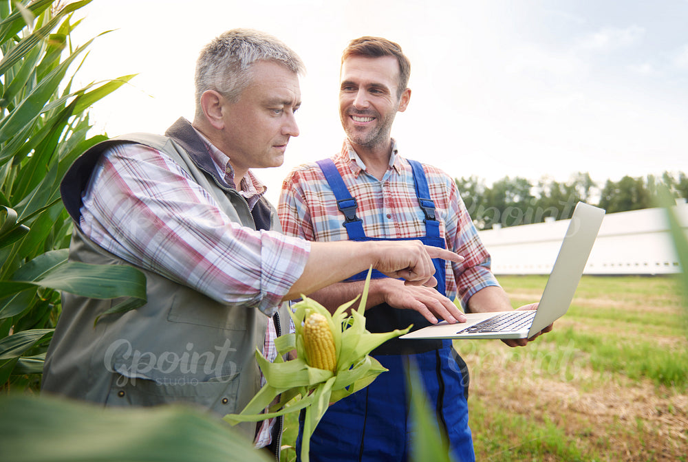 Crop plant examined by two farmers