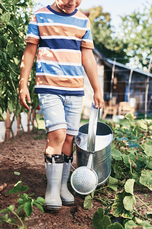 Close up of boy with a watering can in vegetable garden