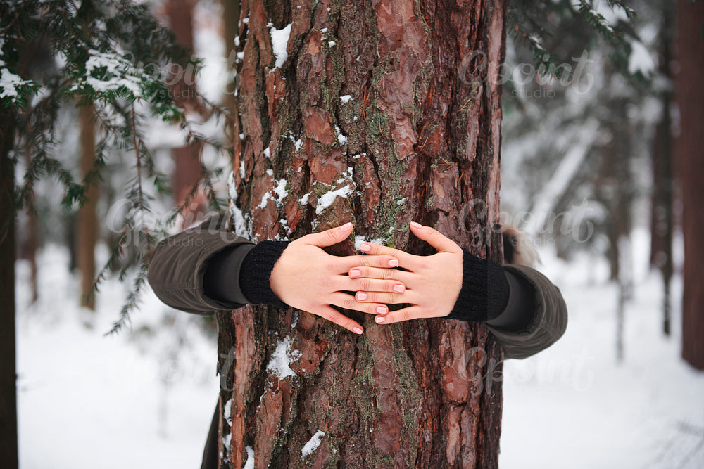 Close up of woman’s hands embracing tree