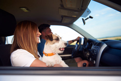 Side view of young couple and dog traveling by car