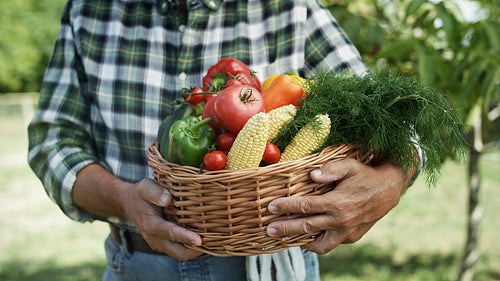 Close up video of basket full of seasonal vegetables