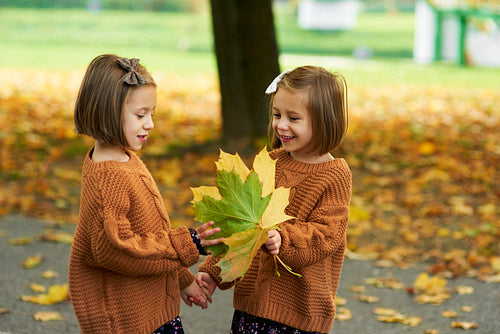 Charming twins picking leafs on the fall season