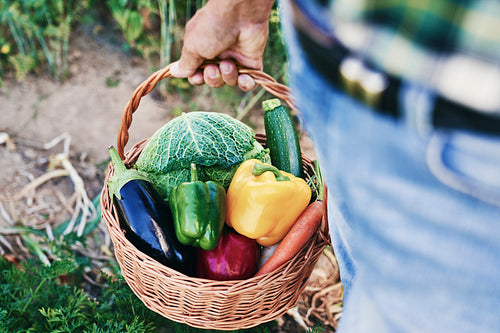 Close up of basket full of freshness vegetables
